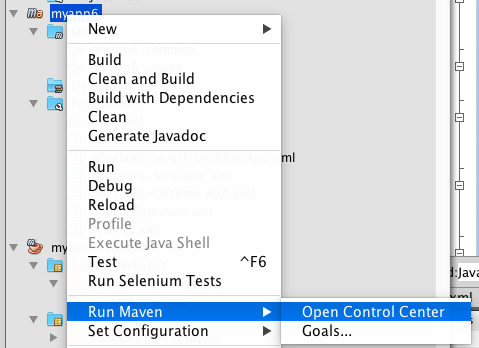 netbeans open control center