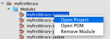 netbeans myfirstlibrary open common submodule