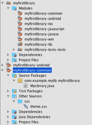 netbeans myfirstlibrary project inspector with common